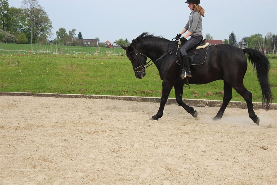 Oldenborg Gaston billede 10