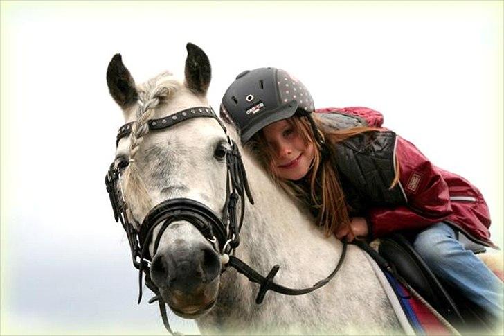 Welsh Pony (sec B) Nappemarkens Porsche - Emmasofie og Buller.. <3 billede 7