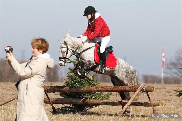 Welsh Pony (sec B) Nappemarkens Porsche - Første jagt, ølstykke 2012
Fotograf: Mj-foto billede 17