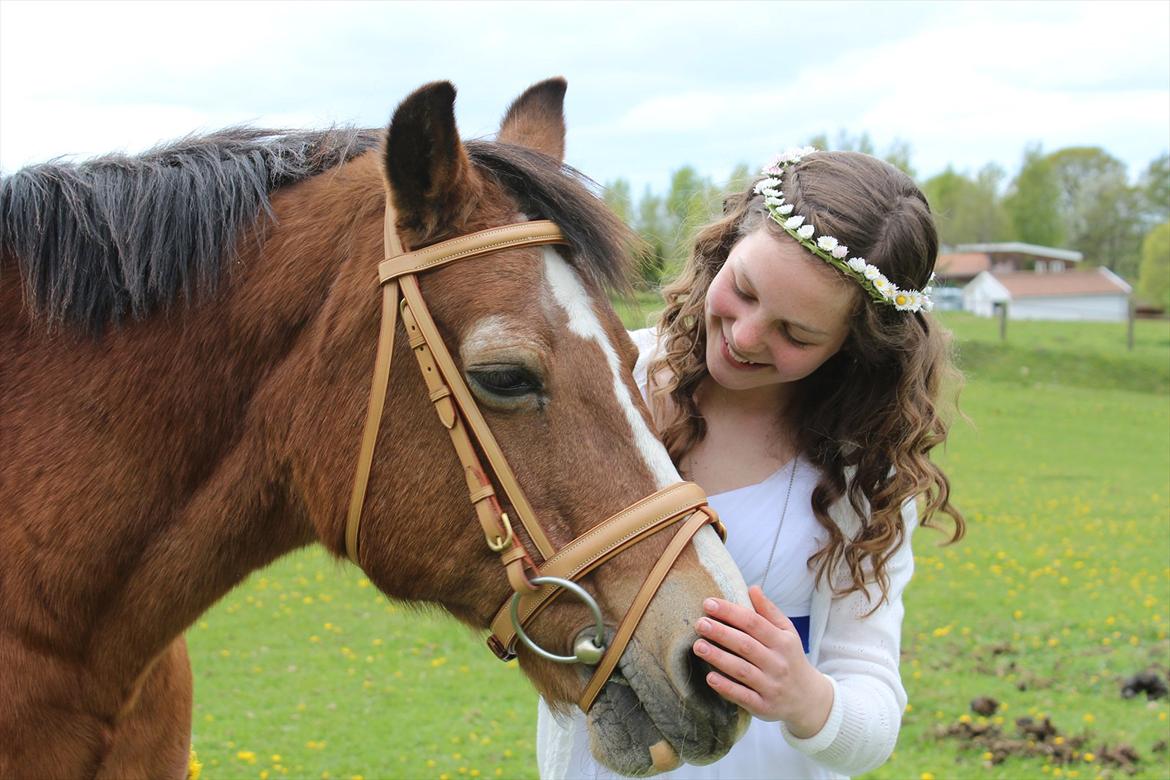 Welsh Cob (sec D) Greta (Passer) - Min skat :') <3
~Foto~ Signe billede 15