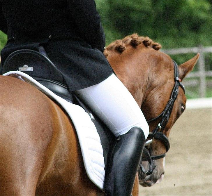 Tysk Sportspony Gee Gee 2 B-pony - første landsstævne i PRI <3 
FOTO: Maria Dyrendal  billede 16