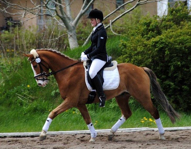 DSP Aragon Kærlund - Foto: Karoline Kristoffersen billede 18