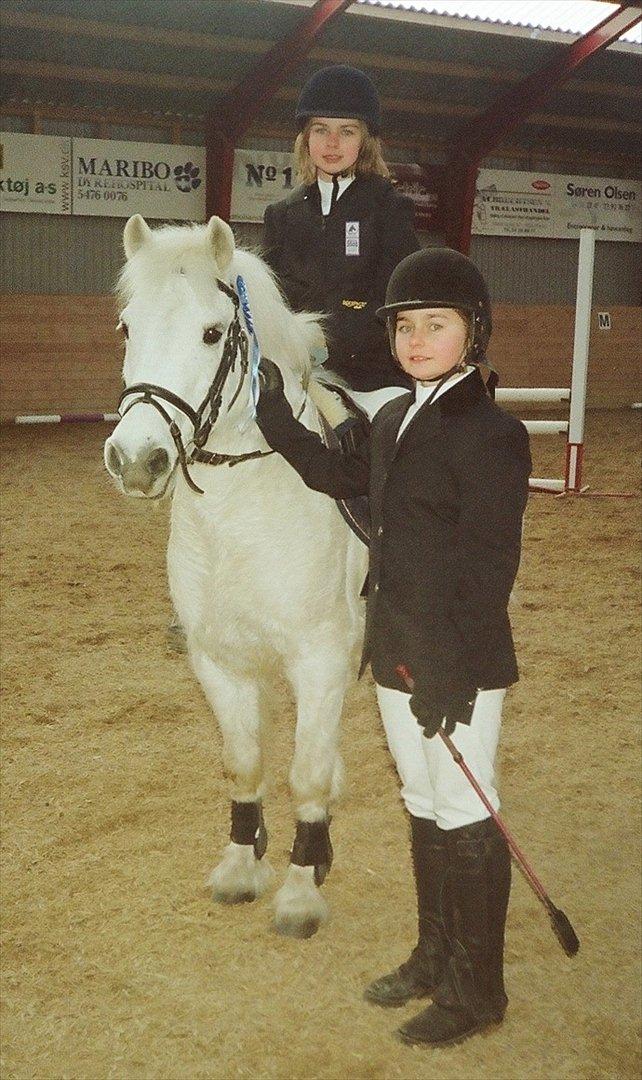 Anden særlig race Baltazar (Hans Helmer) † - 2 plads! billede 20