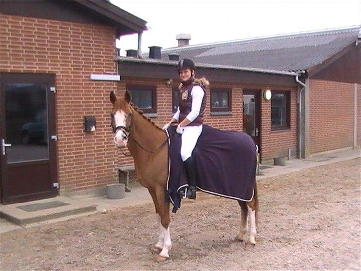 DSP Uldallens Flicha billede 10