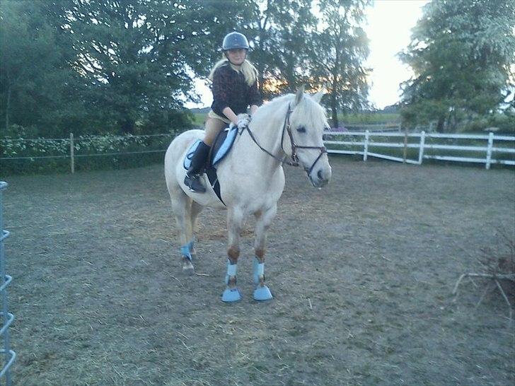 Anden særlig race luatello billede 6