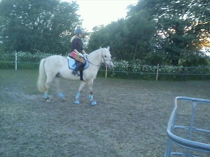 Anden særlig race luatello billede 8