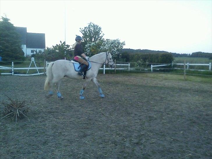 Anden særlig race luatello billede 9