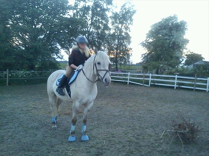 Anden særlig race luatello billede 11