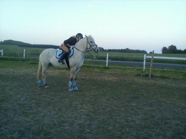 Anden særlig race luatello billede 12