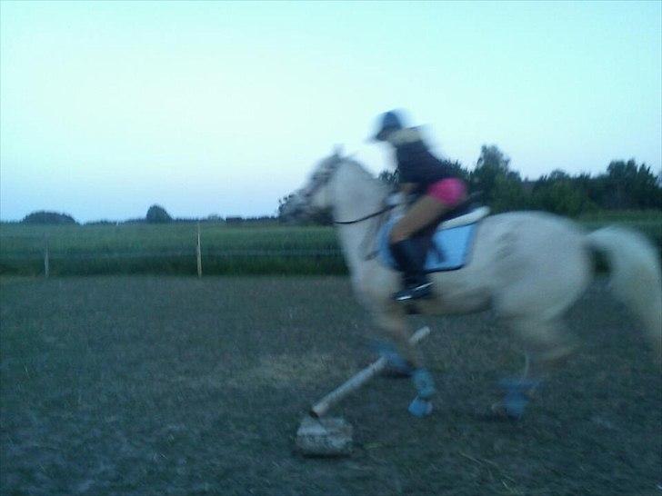 Anden særlig race luatello billede 13