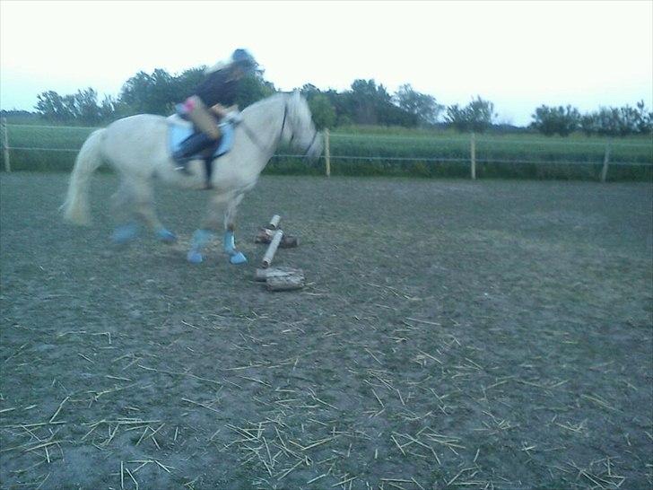 Anden særlig race luatello billede 14