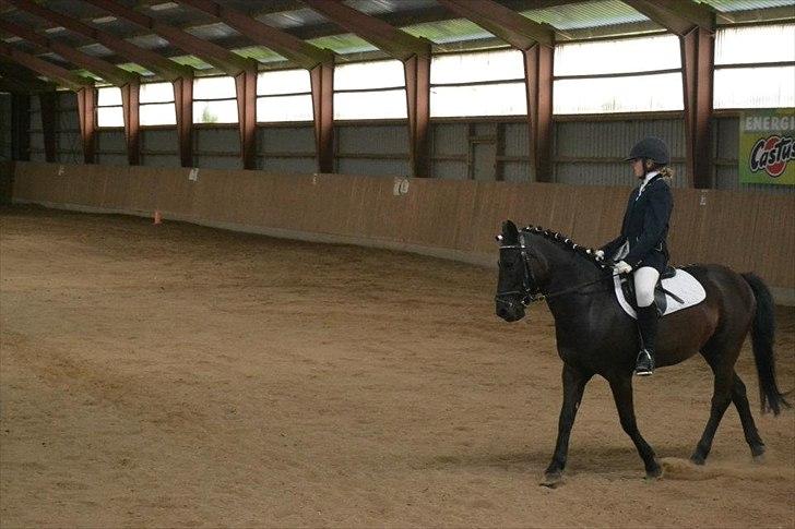 Anden særlig race Sorteper!!<3  - Dressur stævne billede 15