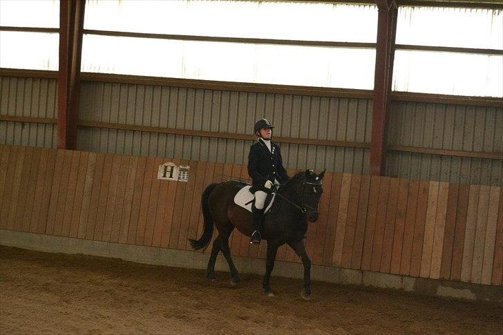 Anden særlig race Sorteper!!<3  - stævne billede 16