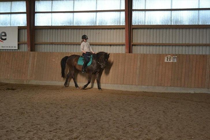 Anden særlig race Sorteper!!<3  - Dressur træning taget af min søster billede 18