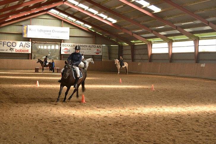 Anden særlig race Sorteper!!<3  - ponygamse billede 19