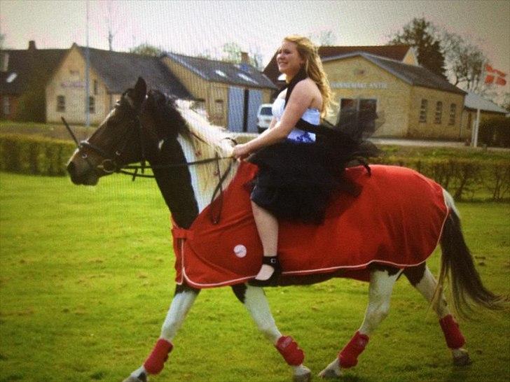 Pinto Søholt's Teepee"Goodbye my savior" - Nam nam lækker pony jeg har mig der!!<3 billede 18