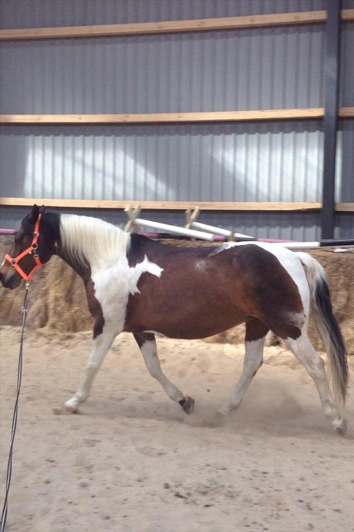 Pinto Søholt's Teepee"Goodbye my savior" - Møssar:-* billede 20