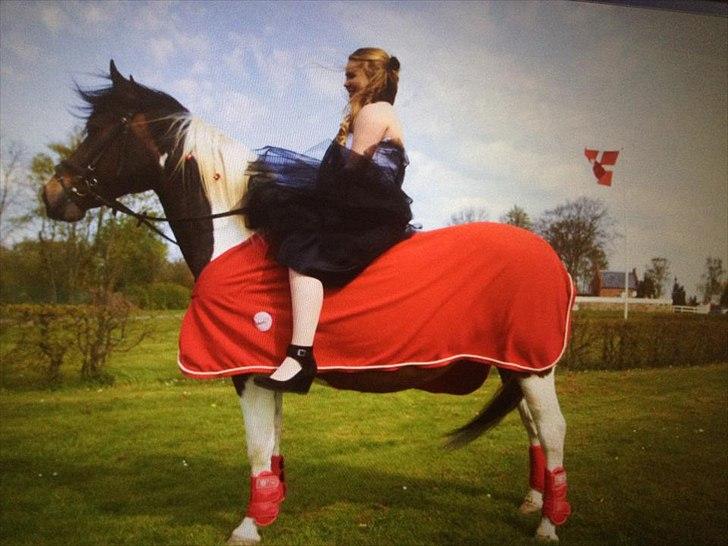 Pinto Søholt's Teepee"Goodbye my savior" billede 8