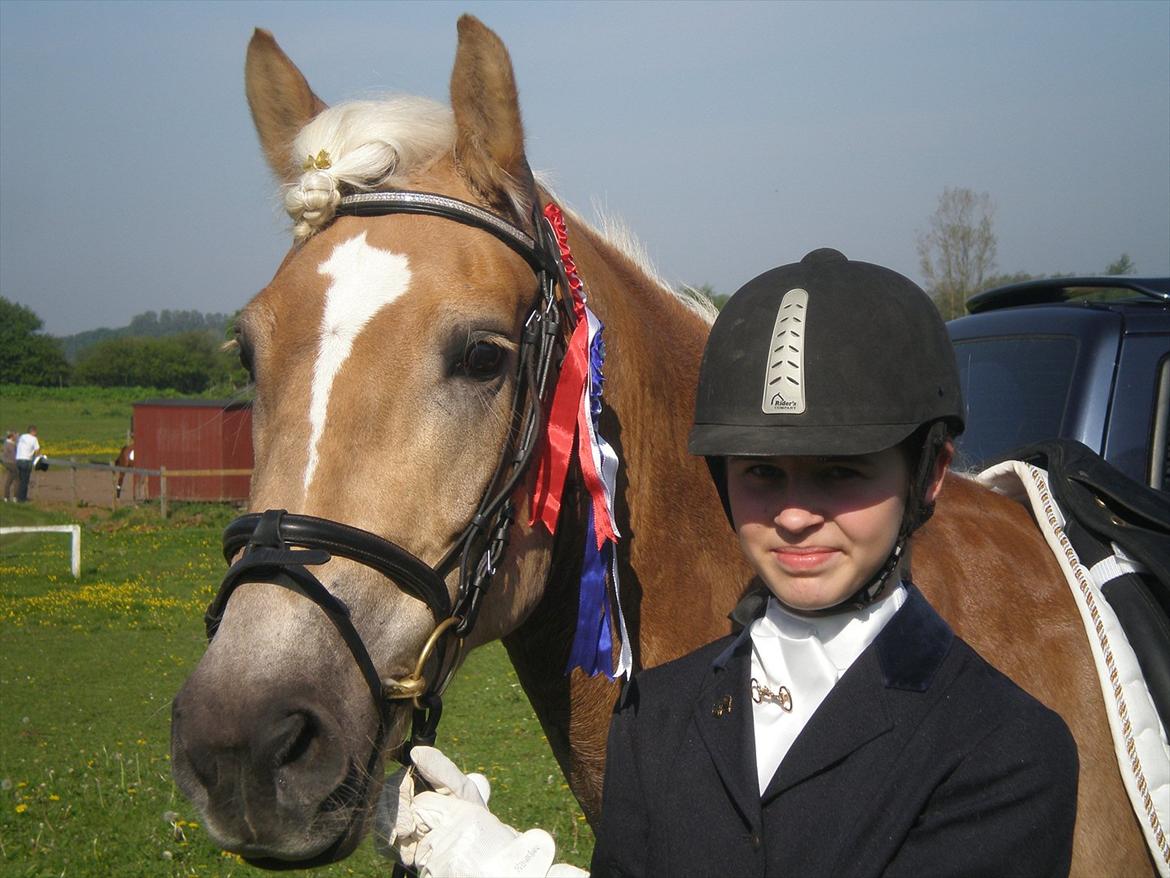 Tyroler Haflinger Amazone (Bailey) - Vores første stævne :-)
 billede 12