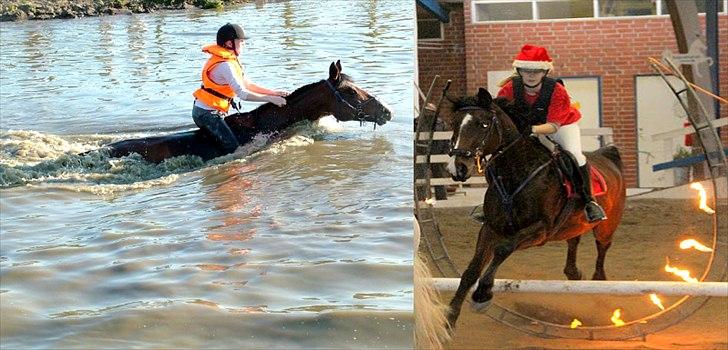 Anden særlig race Savannah - En hest der vil gå igennem ild og vand for èn ! <3 :') billede 20