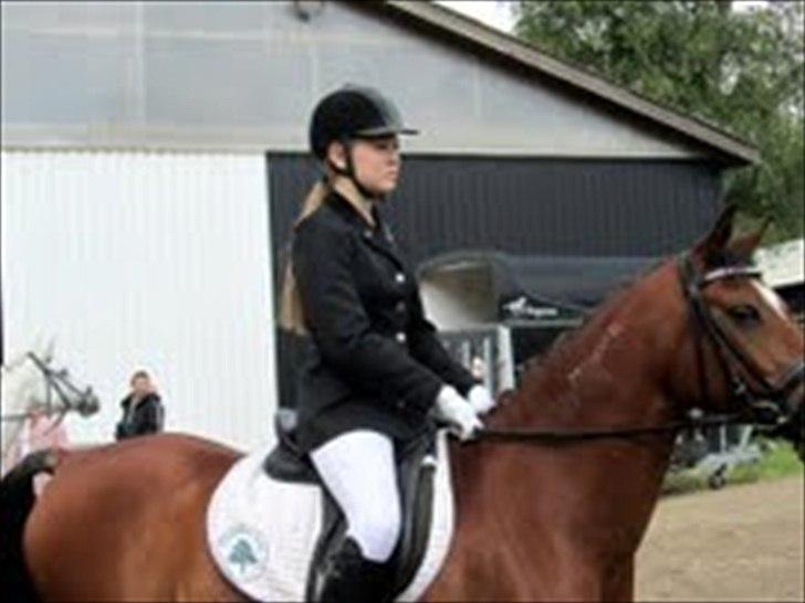 Arabisk fuldblod (OX) Markus OX *SOLGT* Soulmate - venter på at komme på banen..
9/6-2012 
LB1 billede 19