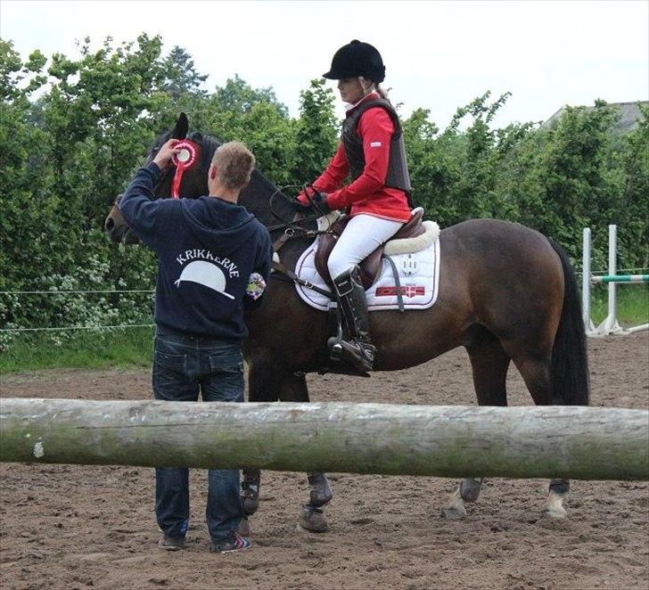 Tysk Sportspony Verdi - B-pony - vi vand vores første MB :D  billede 7