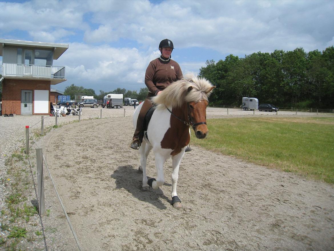 Islænder Blöndur fra Eyefjörd - Undervisning på Davinde banen med Palli 9. juni 2012 billede 14