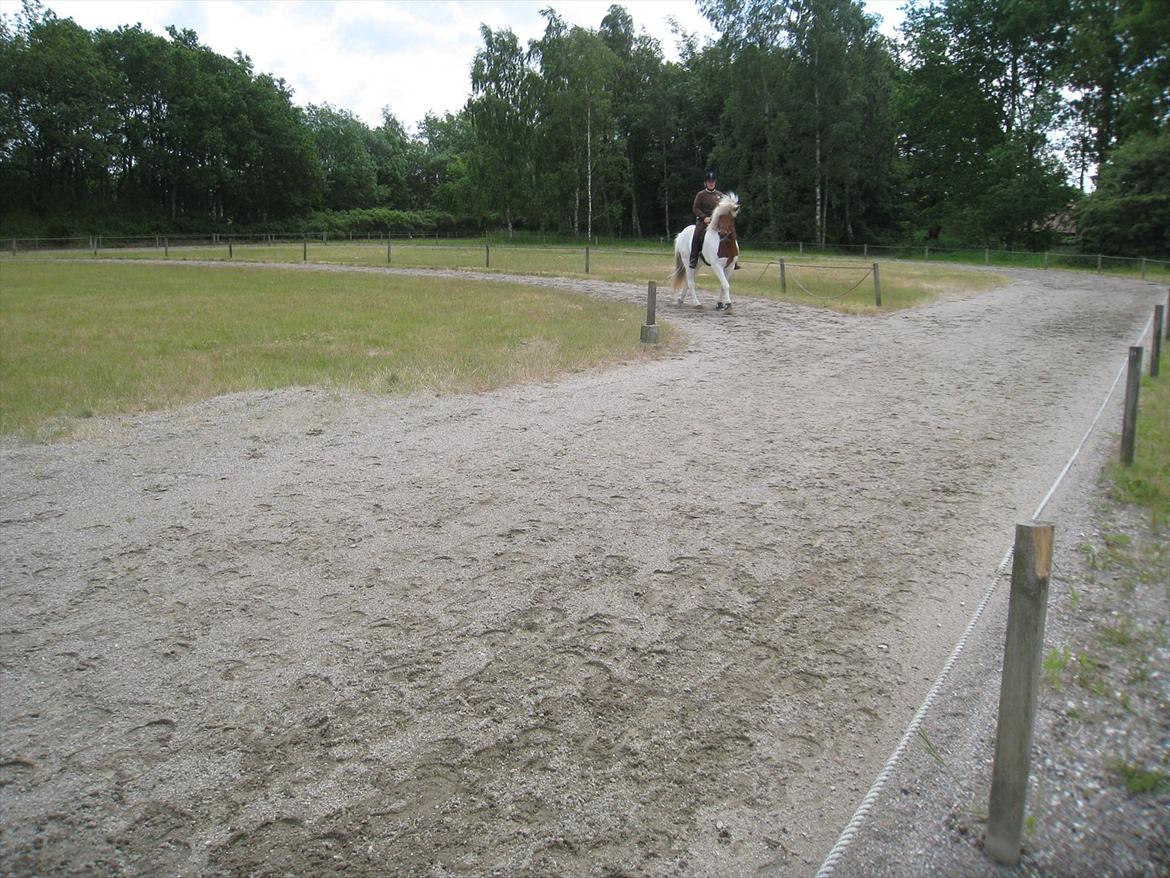 Islænder Blöndur fra Eyefjörd - 9. juni 2012 billede 17