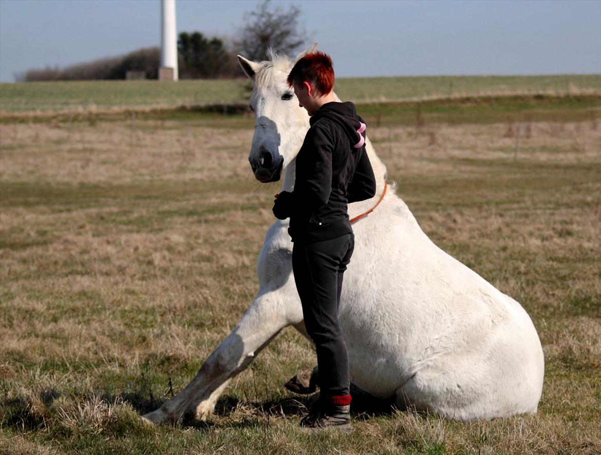 Cruzado Chico - REST IN PEACE MY ANGEL :'( <3 - „Solskin kan man altid finde så længe der er nogen man holder af.“ billede 16