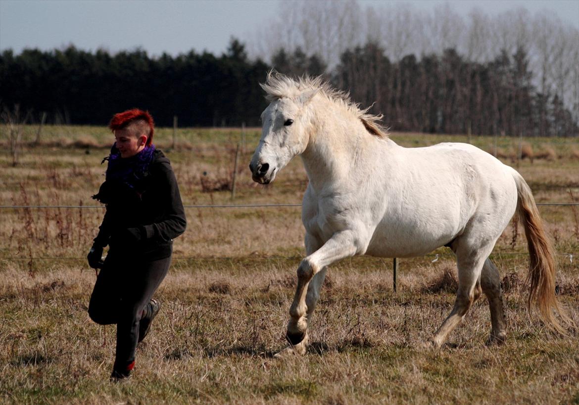 Cruzado Chico - REST IN PEACE MY ANGEL :'( <3 - „Everything is nothing without love.“ billede 17