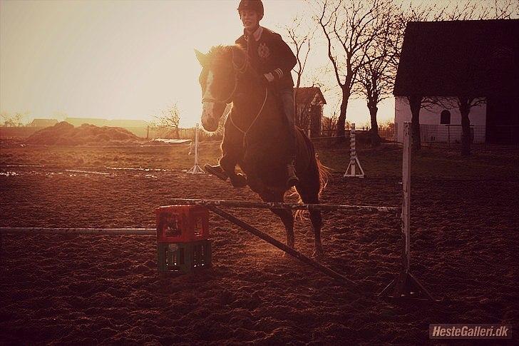 New Forest Sanchez | Morfar - Sidste dag med Morfar..
Spring i cordeo :'3 billede 1