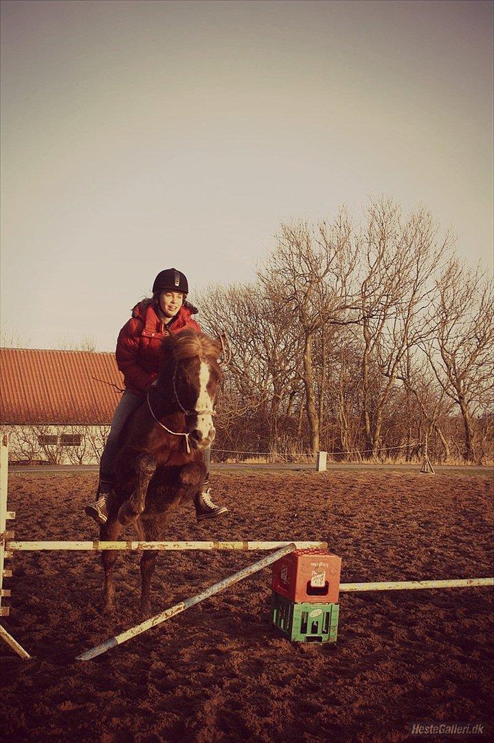New Forest Sanchez | Morfar - I will never forget U..
Spring i  cordeo, den pony var for vild :'D billede 4