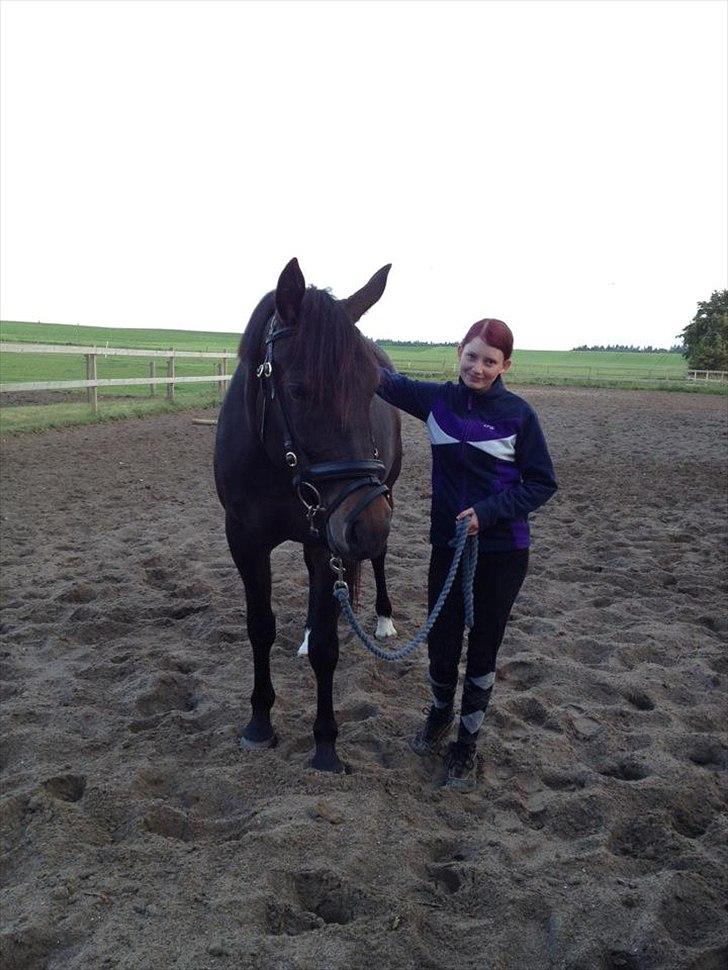 Anden særlig race Melina billede 3