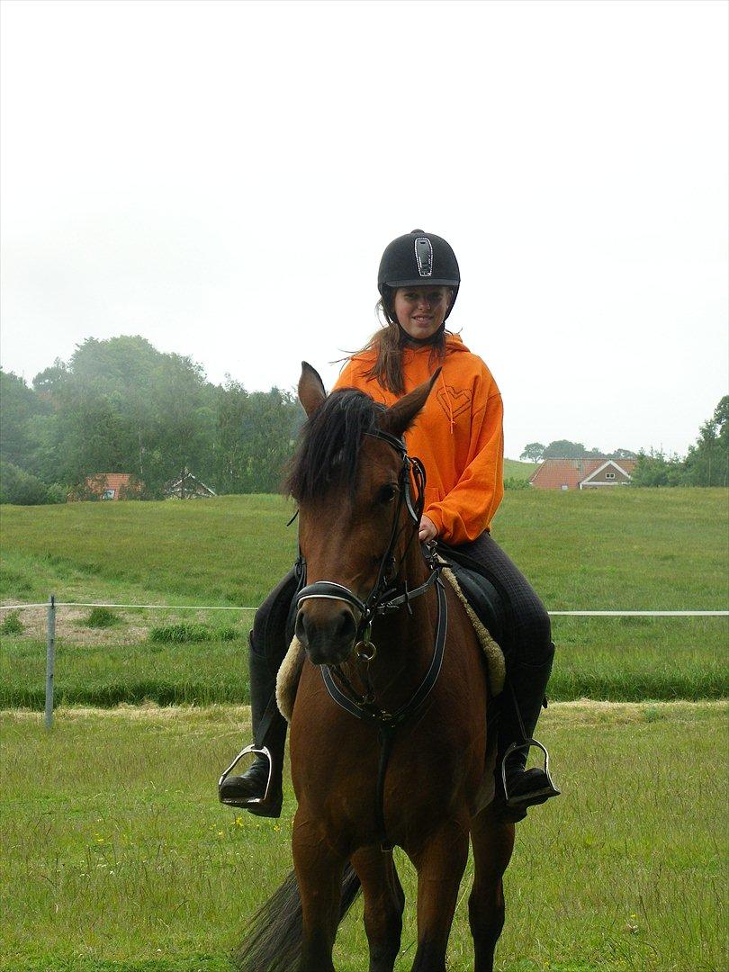 Anden særlig race Jasmin  billede 4