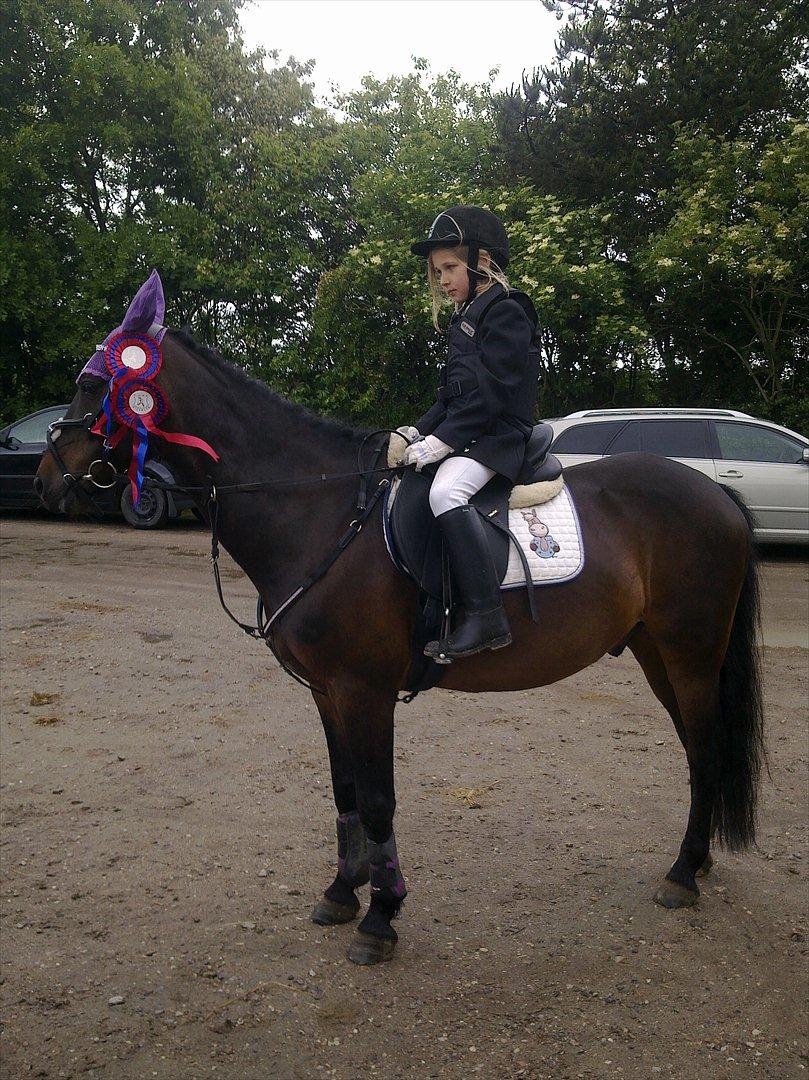 Anden særlig race Kompis Min Ven  ( Solgt ) - Kompis og mig efter 2 0 runder i LE og LD den 10. juni 2012 billede 18