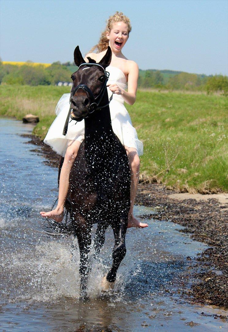 DSP Sputnik Lerkær - Stoooop!!!
-Konfirmation 2012 billede 16