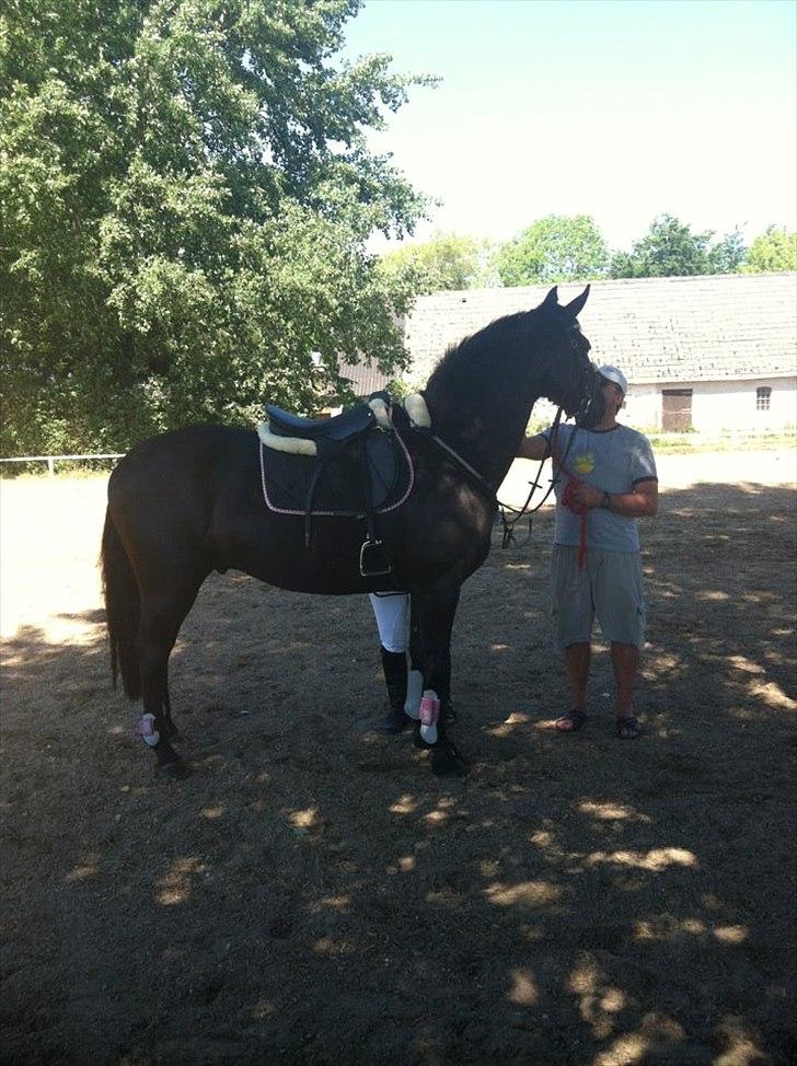 Anden særlig race IVER - Jeg ordner sadel, mens Far holder bassen, som absolut synes, at han skal kysse Far i hovedet hele tiden! ;) <3 27. maj 2012 billede 3