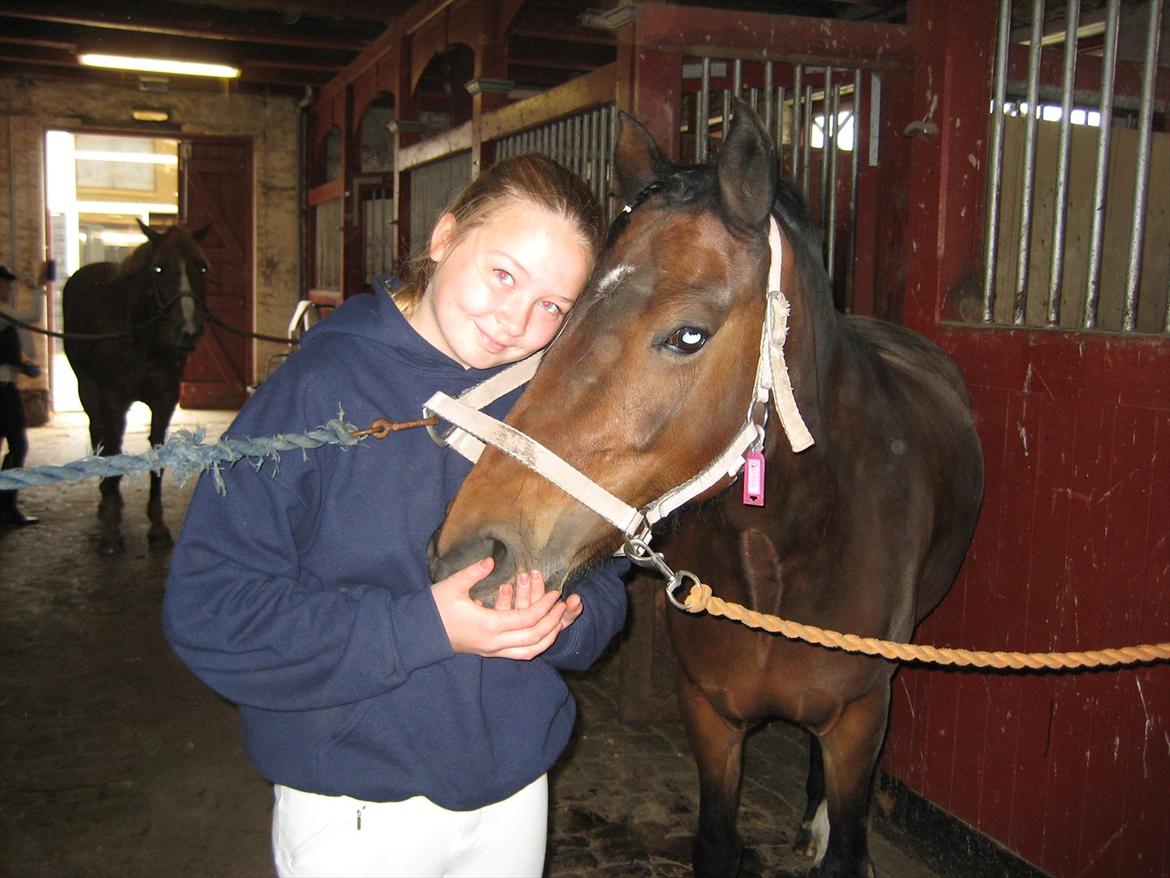 Anden særlig race Pheasant´s Quincy - søde q i stalden  billede 19