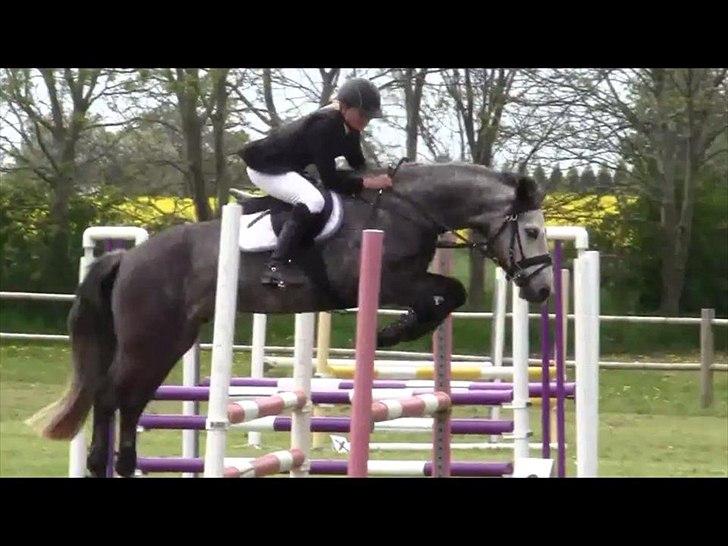 Connemara Hedegårdens Magic - Springpony skal du være <3 billede 5