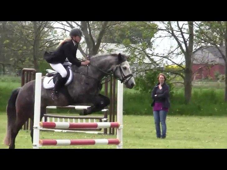 Connemara Hedegårdens Magic - :) billede 9