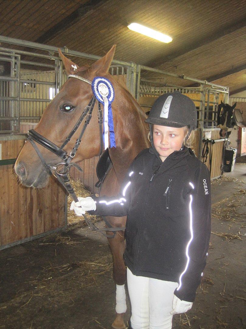 DSP Tracy solgt. - Ridestævne på Hovborg Ridecenter 9. juni 2012. Maja og Tracy har vundet en flot 2. plads. billede 11