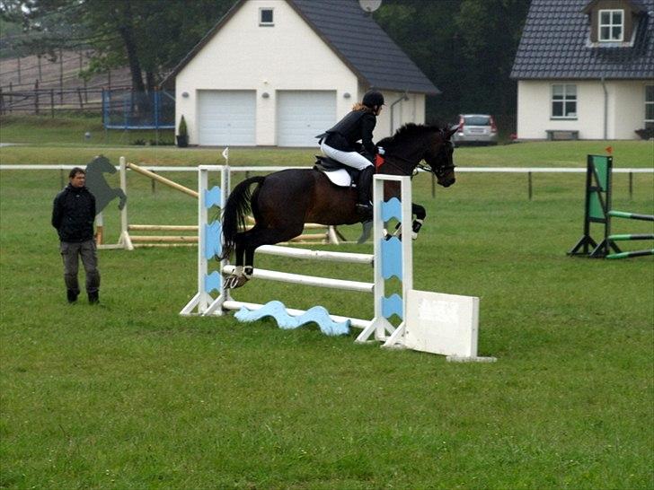 Holstener Galant - LC. 1. plads. Fejlfri i begge faser. Noget så fantastisk at sidde på verdens bedste hest Galant. <3 Foto: Far. billede 3