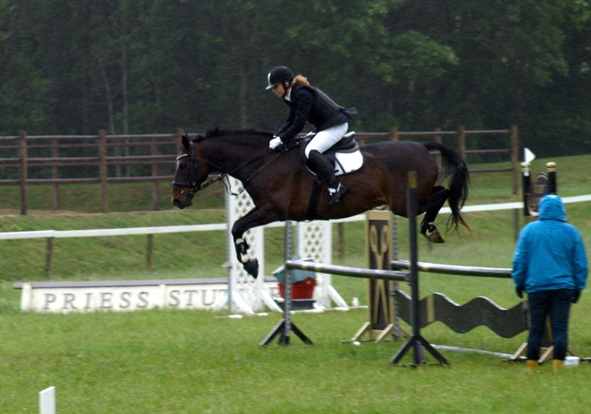 Holstener Galant - LC. 1. plads, fejlfri i begge faser. :-D <3 
Tårerne på min kind er regnen der siler ned, men du er min evig optur! Foto: Far. billede 7