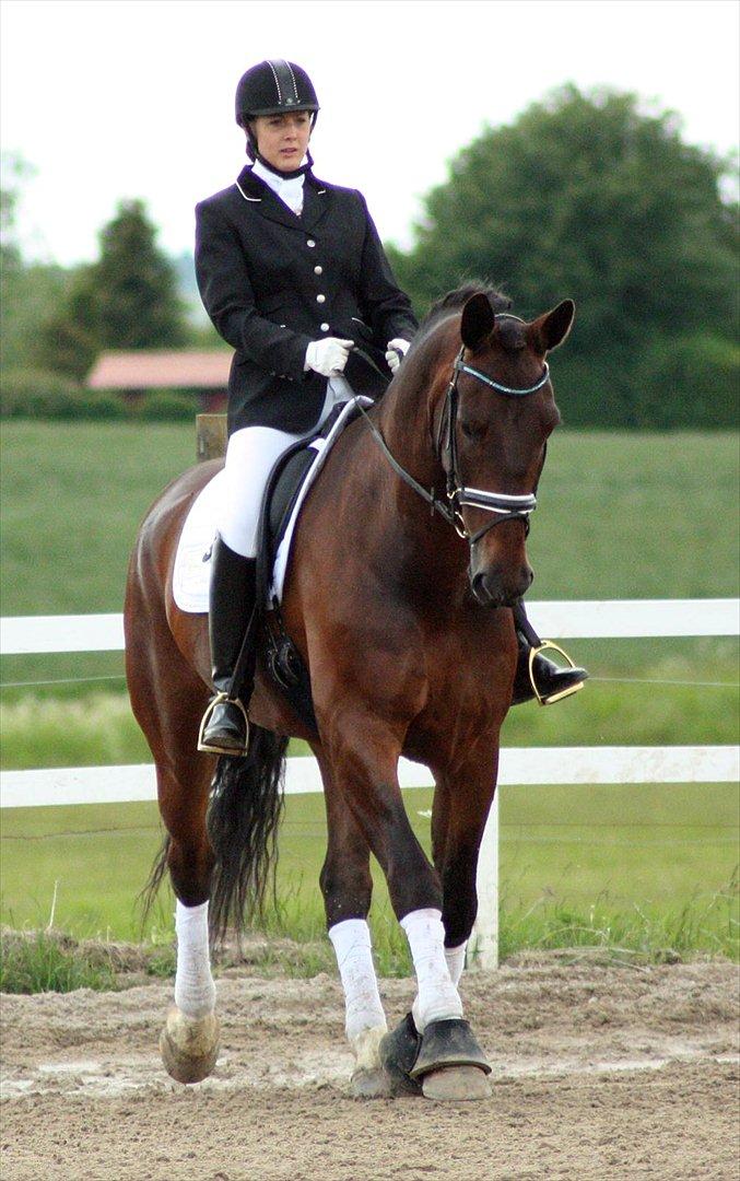 Oldenborg Palnatoke af hethe(Palle) - stævne d.2/6-2012 billede 2