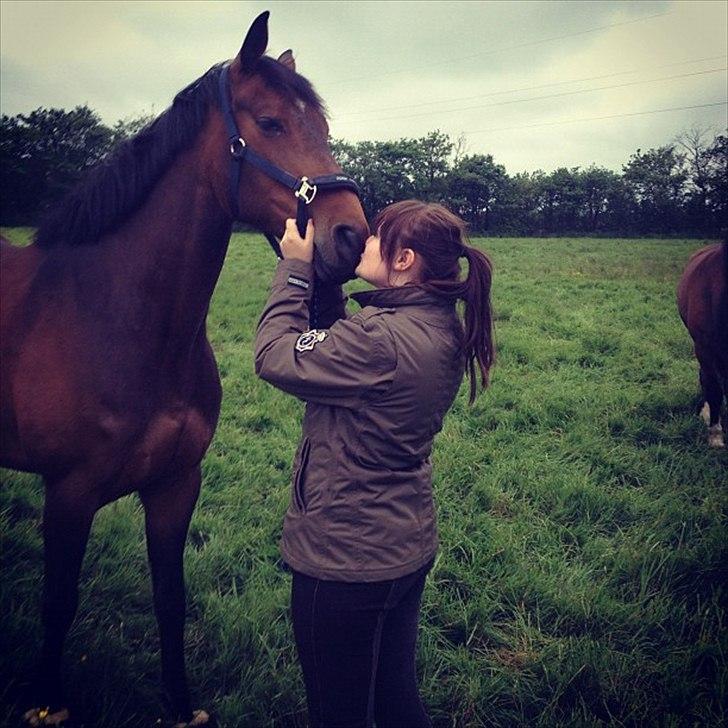 Holstener Cassi billede 20