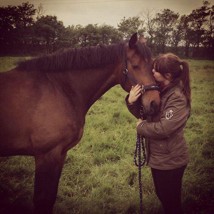 Holstener Cassi billede 1