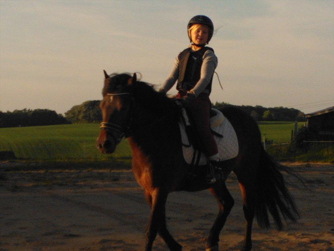 Anden særlig race Tinobello billede 4