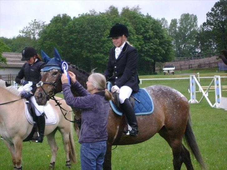 Appaloosa Spike - En 2. plads til vores første spring stævne :) billede 17