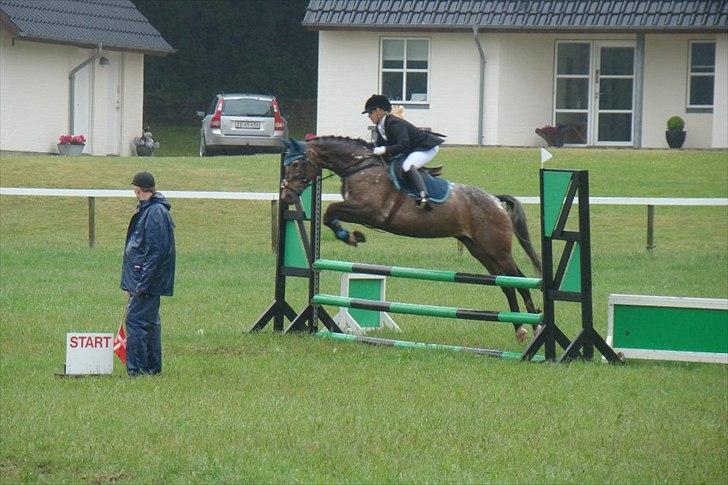 Appaloosa Spike - Hvem kan? Vi kan :) Elsker den hest <3 billede 18