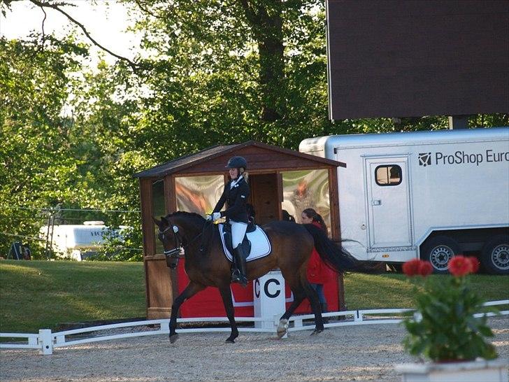 Holstener Cypresgårdens Coriane - Velkommen til Corianes profil :)
Bøllen og jeg til DM i paradressur 2012 <3 
Foto: Ida Toftegaard.  billede 1